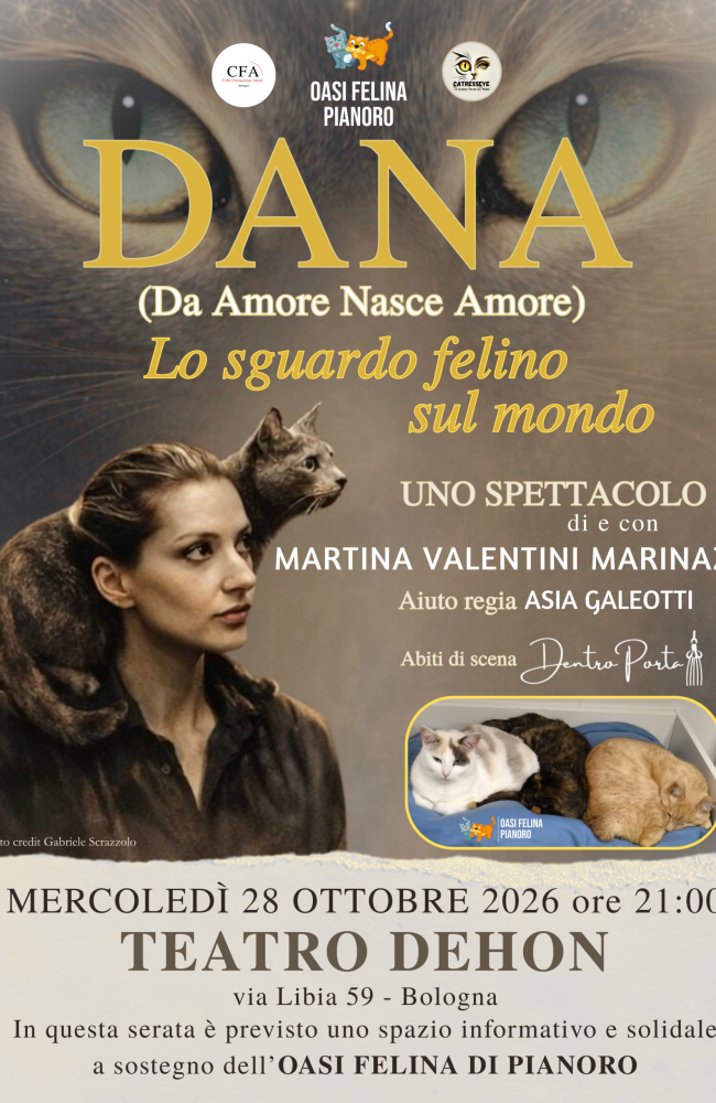 LOCANDINA DANA spettacolo gatti